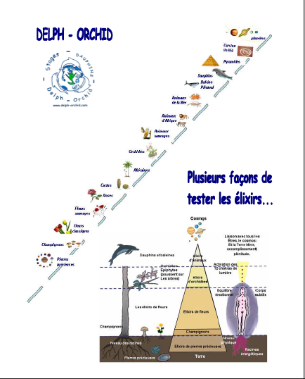 lEOLOBBpM2V1glEZK6q8t7dVOX2IzmkE9g